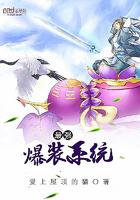 最强爆装系统封面