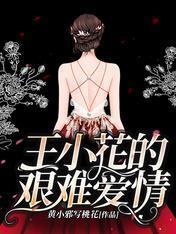 王小花的艰难爱情封面