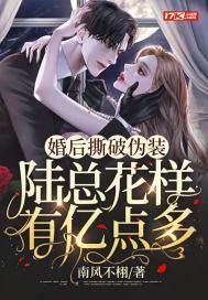 婚后撕破伪装，陆总花样有亿点多封面