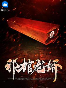 邪棺龙婿封面