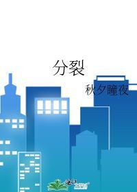 分裂封面