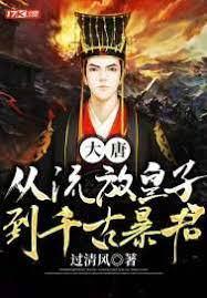 大唐：从流放皇子到千古暴君封面
