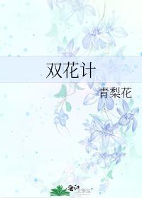 双花计封面