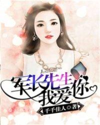 军长先生我爱你封面