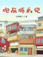 炮灰炼成记封面