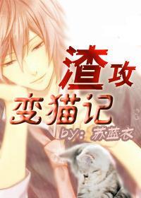 渣攻变猫记封面