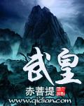 穿越暗黑破坏神封面