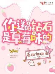 你送的钻石是草莓味的封面