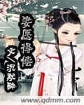 妻愿得偿封面