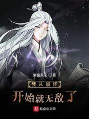 我从崩坏开始就无敌了封面