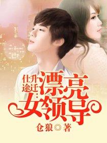 仕途升迁：漂亮女领导封面
