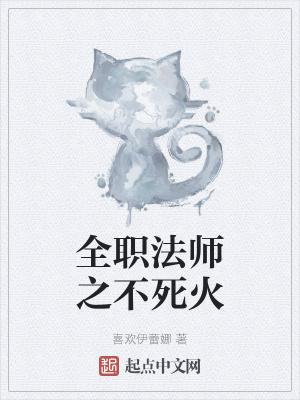 全职法师之不死火封面