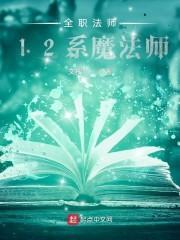 全职法师12系魔法师封面