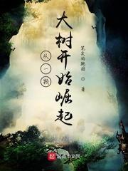 从一颗大树开始崛起封面