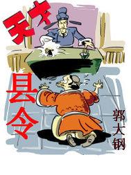 天才县令封面