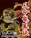 天命龙凤诀封面