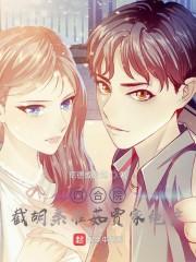 四合院截胡秦淮茹封面