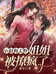 小狼狗太野，姐姐被撩疯了封面