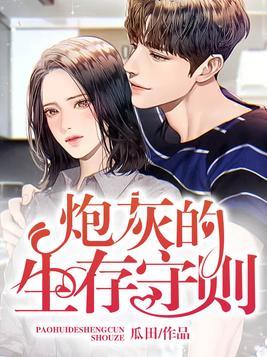 炮灰的生存守则封面