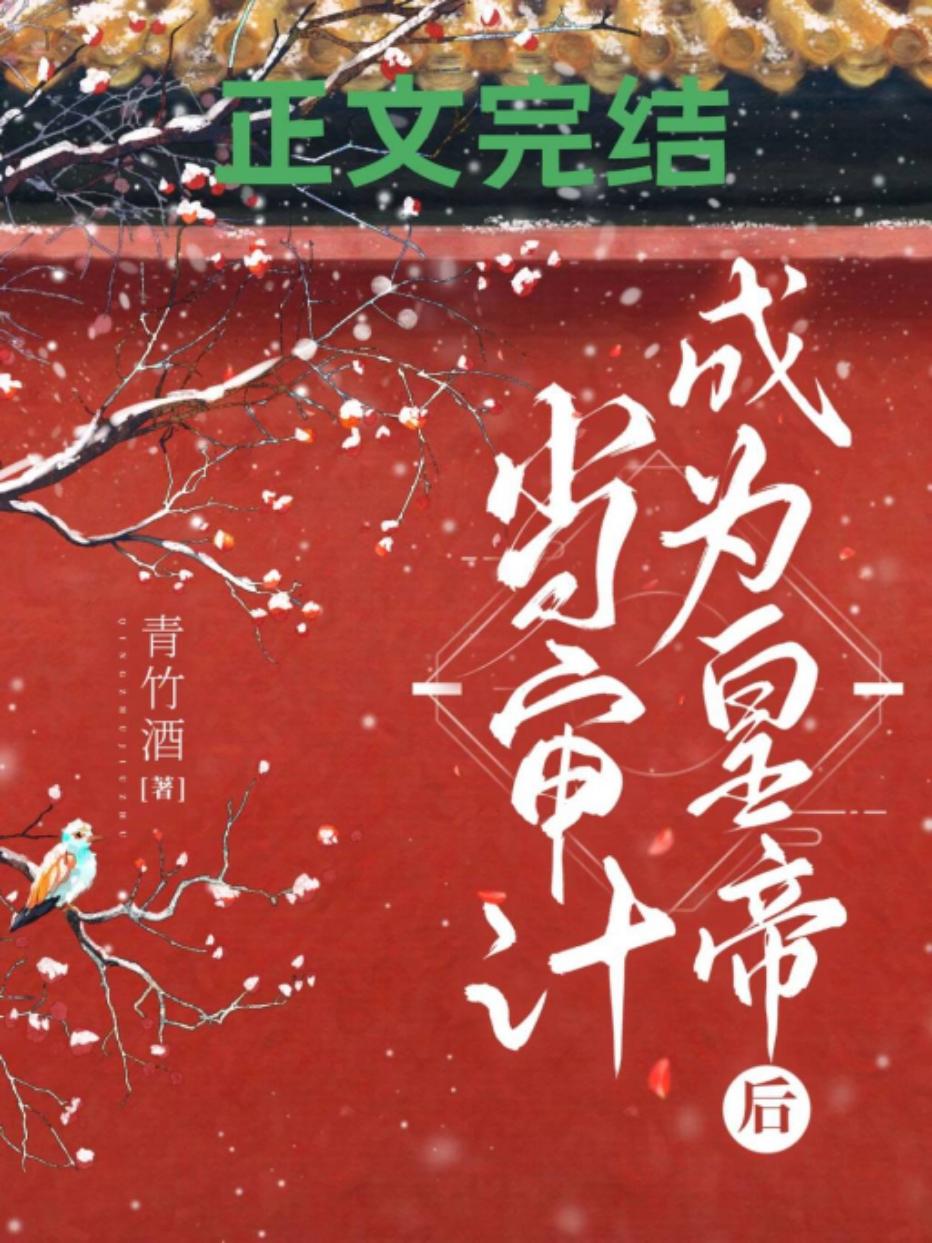 当审计成为皇帝后封面