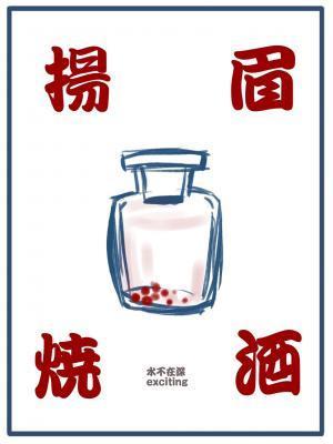 扬眉烧酒封面