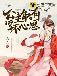 公主能有什么坏心思封面