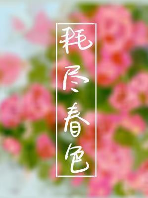 耗尽春色封面
