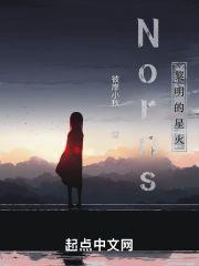 Norns黎明的星火封面