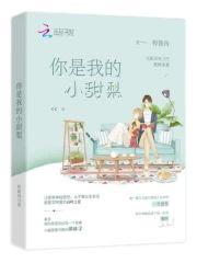 你是我的小甜梨封面