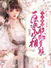 穿书：反派丞相天天觊觎朕的美貌封面