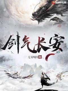 剑气长安封面
