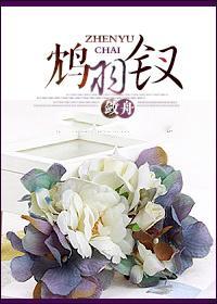 鸩羽钗GL封面