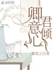卿君意倾心封面