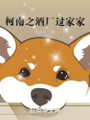 柯南之酒厂过家家封面