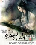 穿越位面来修仙封面