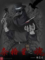 奈格裏之魂封面