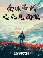 全球高武之死气面板封面