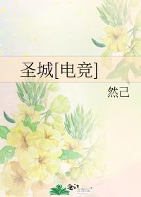 圣城[电竞]封面
