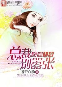 惹祸上身，总裁别嚣张凌乐乐林箫封面