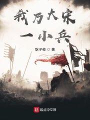 我乃大宋一小兵封面