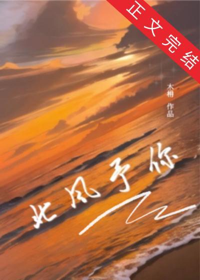北风予你封面