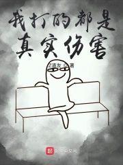 我打的都是真实伤害封面