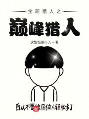 全职猎人之巅峰猎人封面