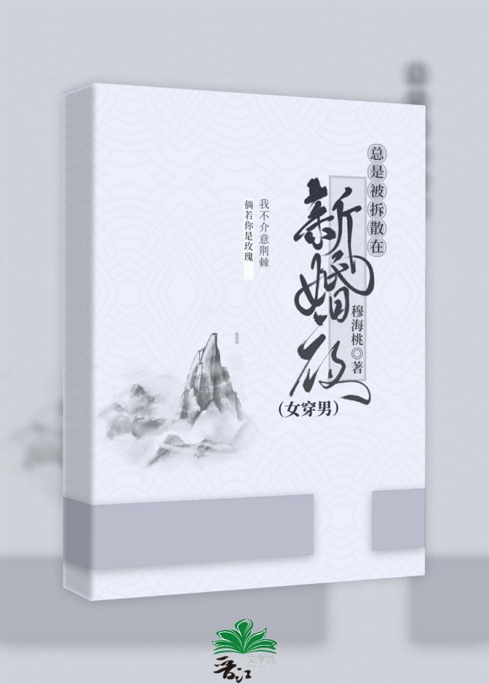 总是被拆散在新婚夜（女穿男）封面