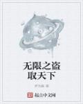 无限之盗取天下封面