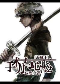 海贼王之手术刀与心臟封面