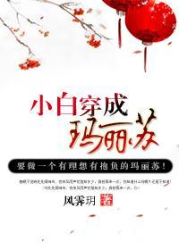 小白穿成玛丽苏封面