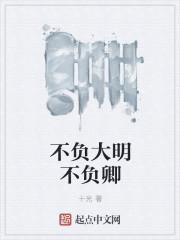 不负大明不负卿封面