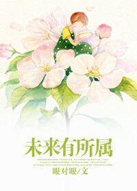 未来有所属封面