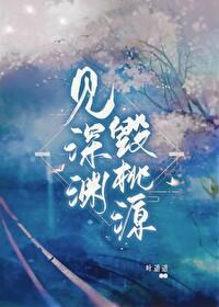 见深渊，毁桃源封面